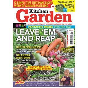 Kitchen Garden