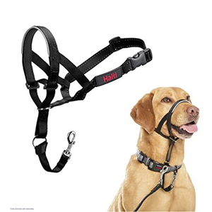 HALTI Headcollar Size 3 Black, UK Bestselling Harness to Stop Pulling on the Lead, Easy to Use, Padded Nose Band, Adjustable & Reflective, Professional Anti-Pull Training Aid for Medium Dogs