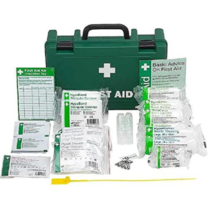 Safety First Aid Group Workplace First Aid Kit (Small 1-10 Persons) Economy HSE-Compliant with Inspection Tags, Wall Bracket, Extra Plasters