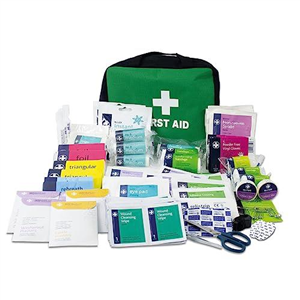 Lewis-Plast First Aid Kit Bag - 309 Piece Survival Kits - Safety Essentials for Travel Car Home Camping Work Hiking,Green