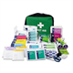 Lewis-Plast First Aid Kit Bag - 309 Piece Survival Kits - Safety Essentials for Travel Car Home Camping Work Hiking,Green