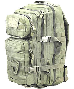 British Army Day Pack Small Sack Combat Rucksack Bergen Molle Green New 28 Litre L
