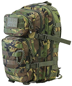 Military Tactical British DPM Camouflage Molle Rucksack Camo Assault Pack 28L