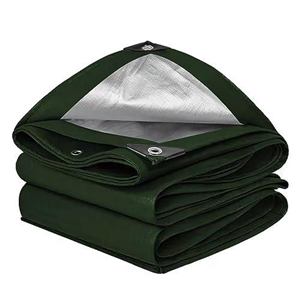 Tarpaulin 3m x 3m/10ft x10ft Waterproof Tarps Heavy Duty 125GSM - Green tarp Sheet - Premium Quality Cover Made Tarpaulin Tarps Green BZ-30041009