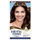 Clairol Nice ⁎ Easy Medium Brown 5 Hair Dye