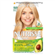 Garnier Nutrisse 10.01 Baby Blonde Permanent Hair Dye