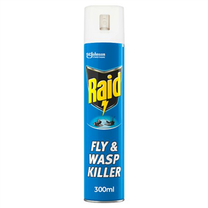 Raid Fly And Wasp Killer 300Ml