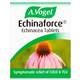Echinaforce Echinacea Tablets 42'S