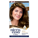 Clairol Nice ⁎ Easy Medium Golden Brown 5G Hair Dye