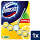 Domestos Power 5 Lime Rim Block 55G