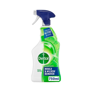 Dettol Antibacterial Mould & Mildew Remover Spray 750Ml