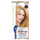 Nice'n Easy Root Touch Up Permanent Medium Blonde 8 Hair Dye