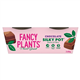 Fancy Plants Chocolate Silky Pot 2X80g