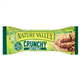 Nature Valley Crunchy Granola Oats & Honey Bar 42G